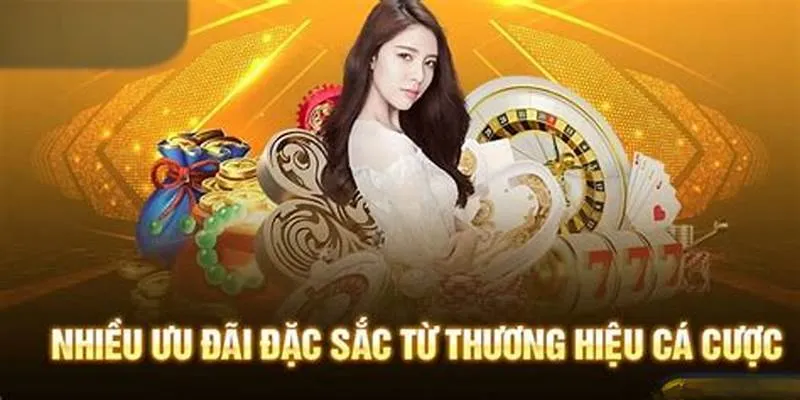 Điểm đặc trưng nổi bật của chương trình hoàn trả