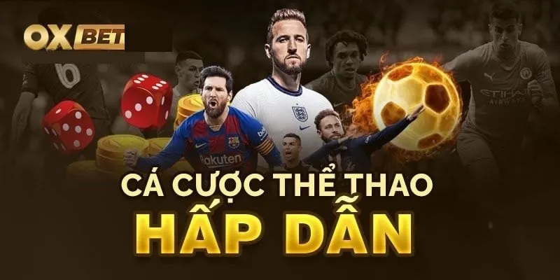 Điểm mạnh lôi cuốn hội viên của sảnh thể thao OXBET