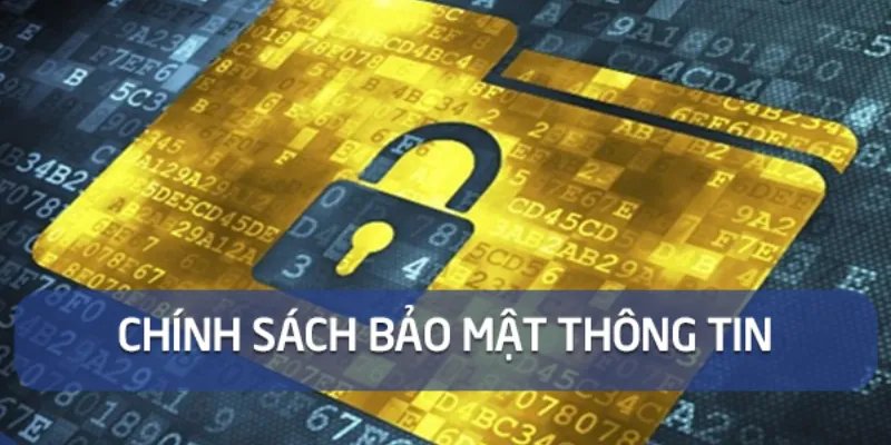 Thông tin về chính sách bảo vệ quyền riêng tư của hệ thống